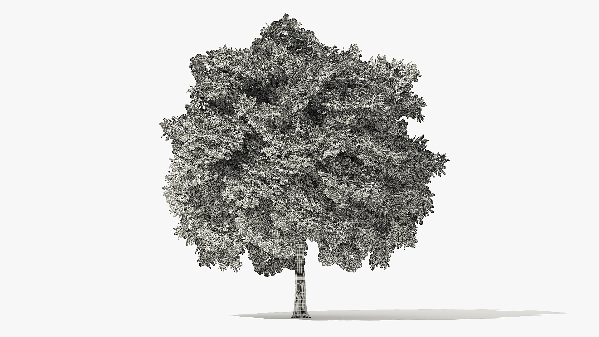 autumn norway maple tree 3D model https://p.turbosquid.com/ts-thumb/ZC/LXzIvH/5DbBdcjC/6_meter_autumn_norway_maple_grid_turntable_0000/jpg/1575227035/1920x1080/turn_fit_q99/d0e03148115663d76722493abfa68b0ab59a8d9f/6_meter_autumn_norway_maple_grid_turntable_0000-1.jpg