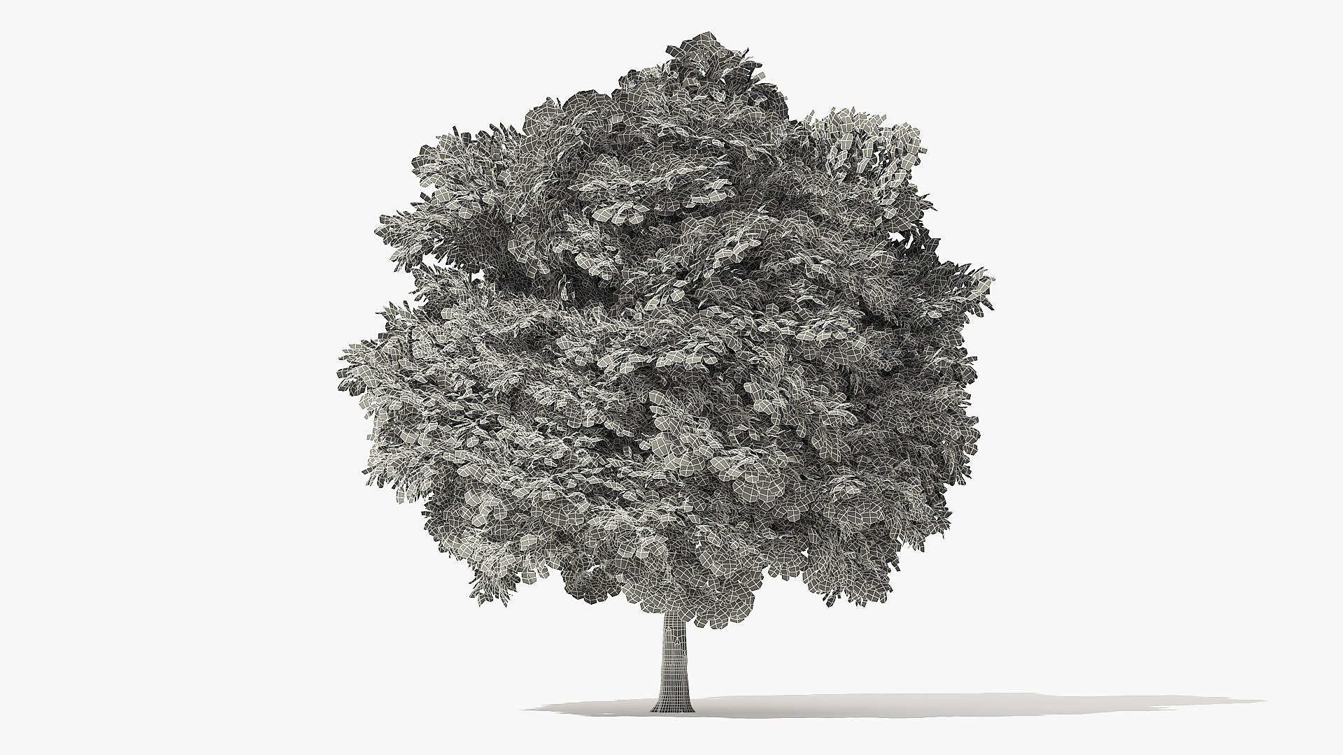 autumn norway maple tree 3D model https://p.turbosquid.com/ts-thumb/ZC/LXzIvH/W6wnphqD/6_meter_autumn_norway_maple_grid_turntable_000008/jpg/1575227101/1920x1080/fit_q87/5f599709f9d4084de63e719480dafa0124e77188/6_meter_autumn_norway_maple_grid_turntable_000008.jpg