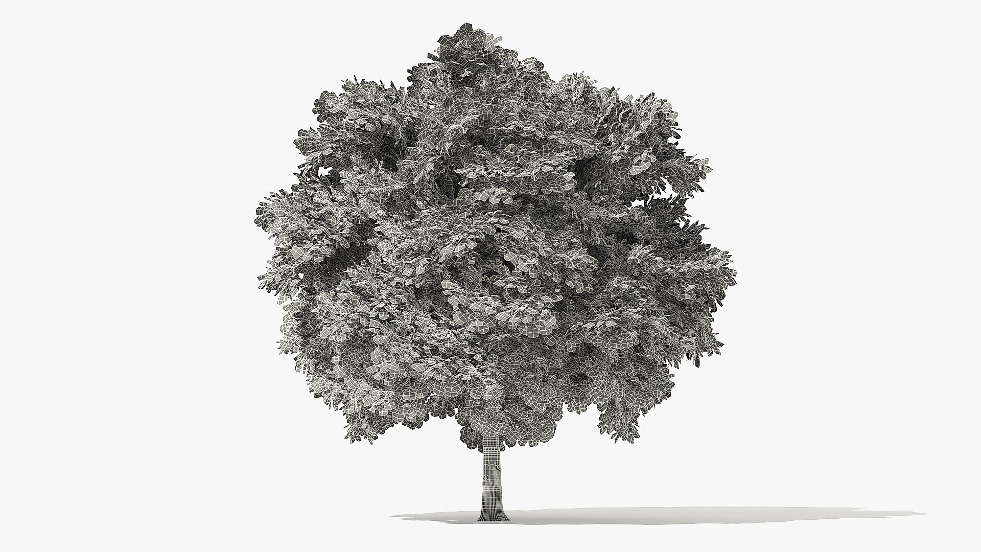 autumn norway maple tree 3D model https://p.turbosquid.com/ts-thumb/ZC/LXzIvH/s44GpRX8/6_meter_autumn_norway_maple_grid_turntable_000016/jpg/1575227102/1920x1080/fit_q87/59d0a5b4dbcccce543263a282e3384f2415fdbc7/6_meter_autumn_norway_maple_grid_turntable_000016.jpg