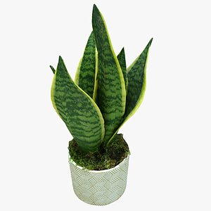 plant pot 3D model