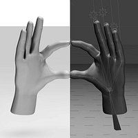 Fully Rigged Set of Hands