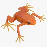 Mantella Frog Pose 2 3D Model