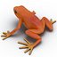 Mantella Frog Pose 2 3D Model
