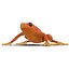 Mantella Frog Pose 2 3D Model