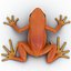Mantella Frog Pose 2 3D Model