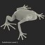 Mantella Frog Pose 2 3D Model