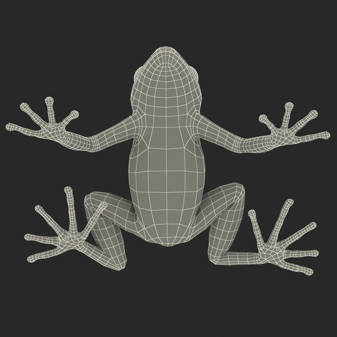 mantella frog pose 2 3ds https://p.turbosquid.com/ts-thumb/ZC/h8ghzM/NaM5CqrU/mantellafrog3dsmodel30/jpg/1452519273/1920x1080/fit_q87/63262ef44b0e3fbc8088756b66d3d6b44e9f4dc8/mantellafrog3dsmodel30.jpg