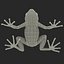 Mantella Frog Pose 2 3D Model