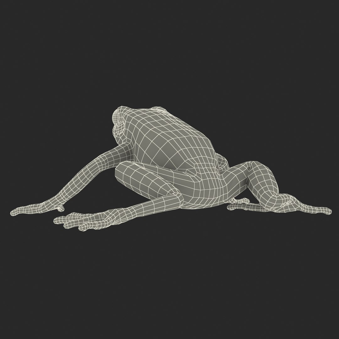 mantella frog pose 2 3ds https://p.turbosquid.com/ts-thumb/ZC/h8ghzM/RTppDwTw/mantellafrog3dsmodel28/jpg/1452519273/1920x1080/fit_q87/dbd889dc8d1bc4a0a95e407532eb2c74697bdbe4/mantellafrog3dsmodel28.jpg