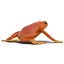 Mantella Frog Pose 2 3D Model