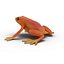 Mantella Frog Pose 2 3D Model