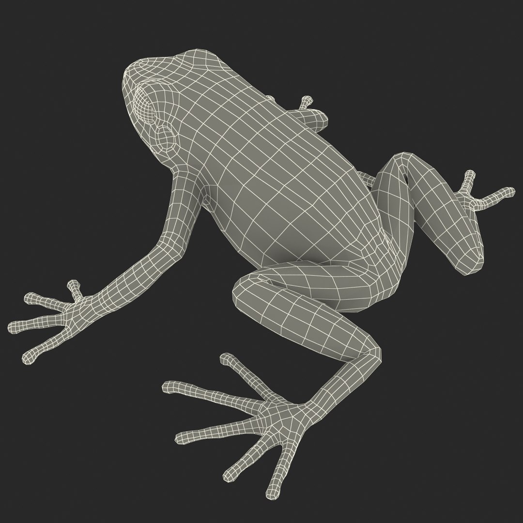 mantella frog pose 2 3ds https://p.turbosquid.com/ts-thumb/ZC/h8ghzM/dXwAxLwR/mantellafrog3dsmodel26/jpg/1452519273/1920x1080/fit_q87/b90e99557659ab504f39024350987195b2e76e67/mantellafrog3dsmodel26.jpg