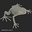 Mantella Frog Pose 2 3D Model