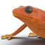 Mantella Frog Pose 2 3D Model