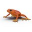 Mantella Frog Pose 2 3D Model