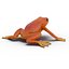 Mantella Frog Pose 2 3D Model