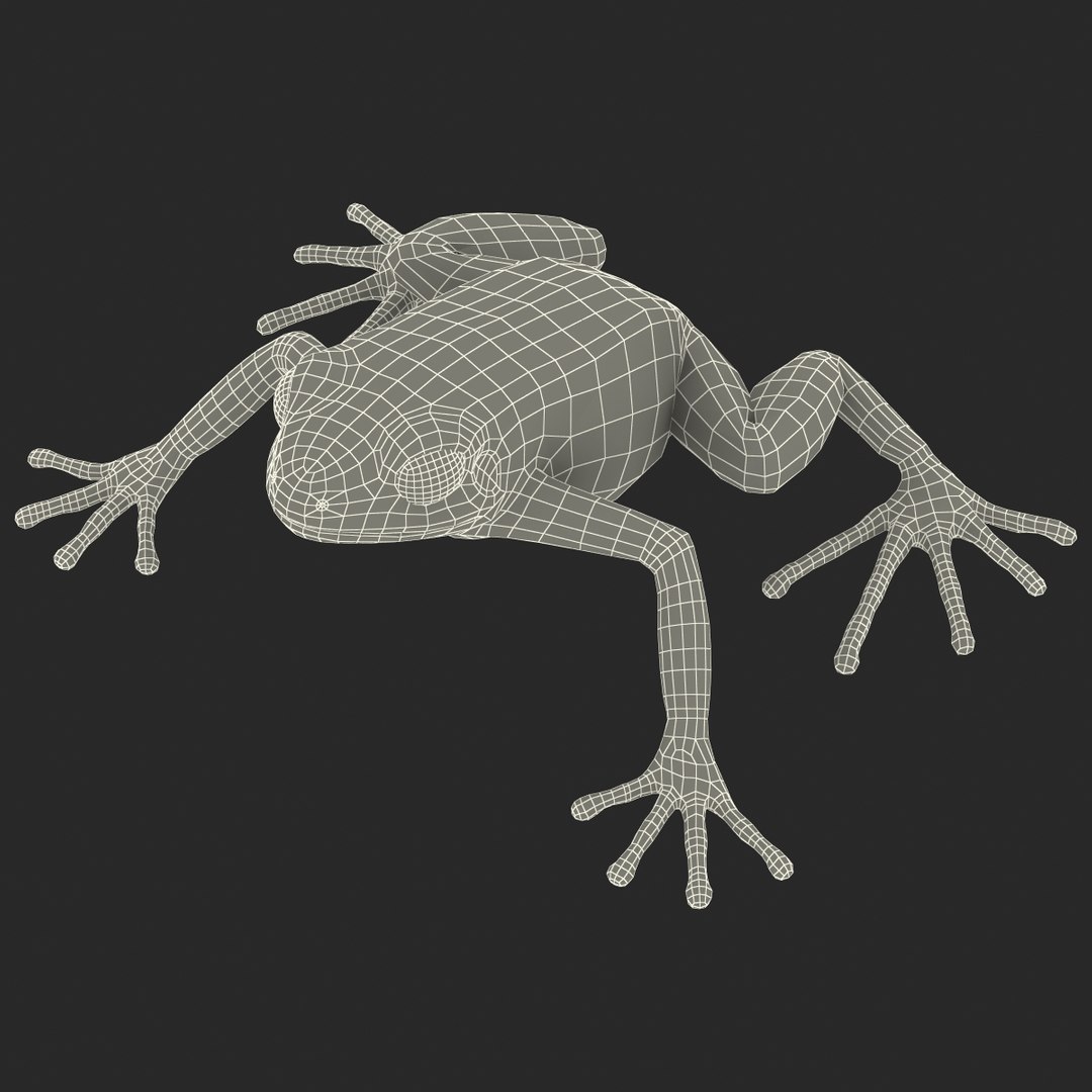 mantella frog pose 2 3ds https://p.turbosquid.com/ts-thumb/ZC/h8ghzM/pA5Pm7S0/mantellafrog3dsmodel27/jpg/1452519273/1920x1080/fit_q87/dd8af10b1e0c4a24c9911f40f041eb9a2ab64c2b/mantellafrog3dsmodel27.jpg