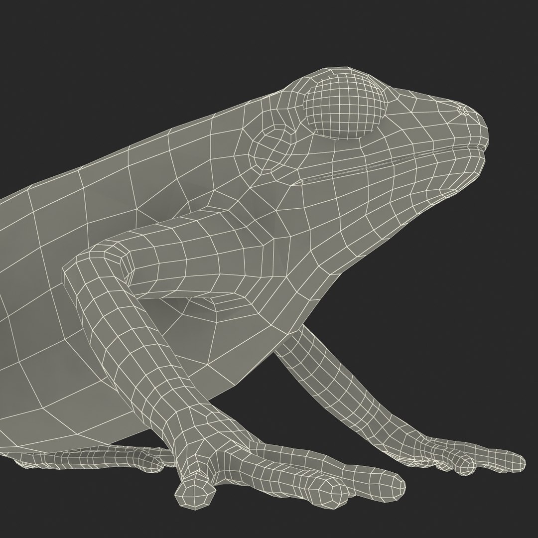 mantella frog pose 2 3ds https://p.turbosquid.com/ts-thumb/ZC/h8ghzM/v5JU3zVf/mantellafrog3dsmodel31/jpg/1452519273/1920x1080/fit_q87/c548d721506b658e5d97d787d77c6bd508b159ab/mantellafrog3dsmodel31.jpg
