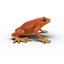 Mantella Frog Pose 2 3D Model
