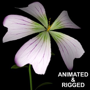 flowers open animation 3D