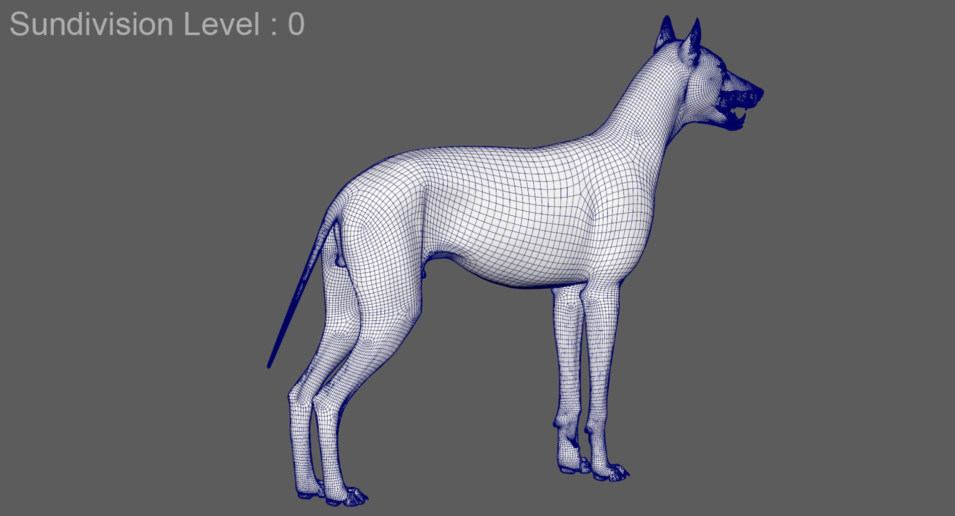 3D wolf model https://p.turbosquid.com/ts-thumb/ZC/qqoRfm/9b9DulBg/15/jpg/1557692041/1920x1080/fit_q87/06e056366d45f7919ecd49f222243f0c0542a19a/15.jpg