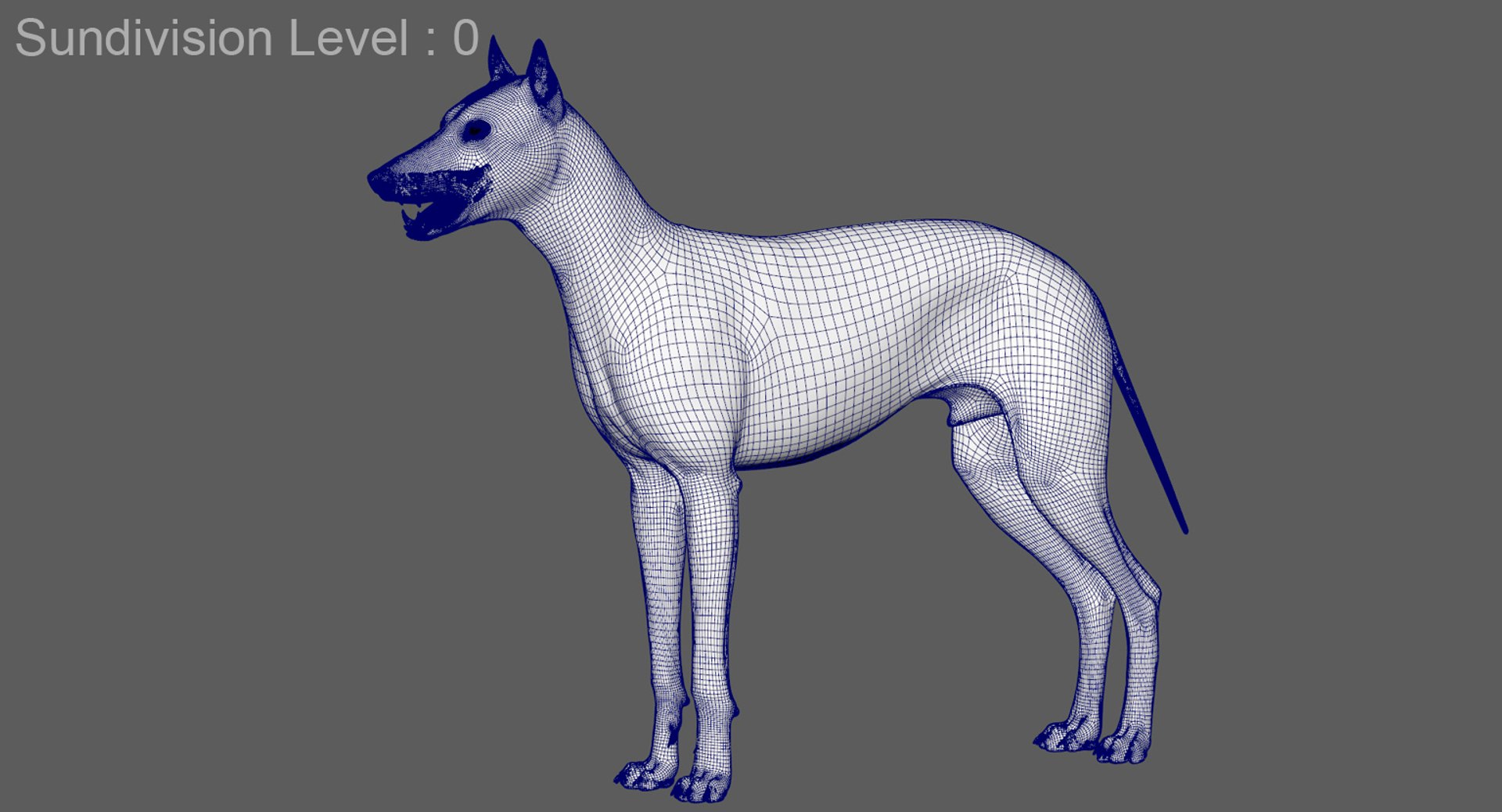 3D wolf model https://p.turbosquid.com/ts-thumb/ZC/qqoRfm/EPYzG8ZV/16/jpg/1557692027/1920x1080/fit_q87/97e09aef4e4945b8a5b5c680384ae1a42079c0ad/16.jpg