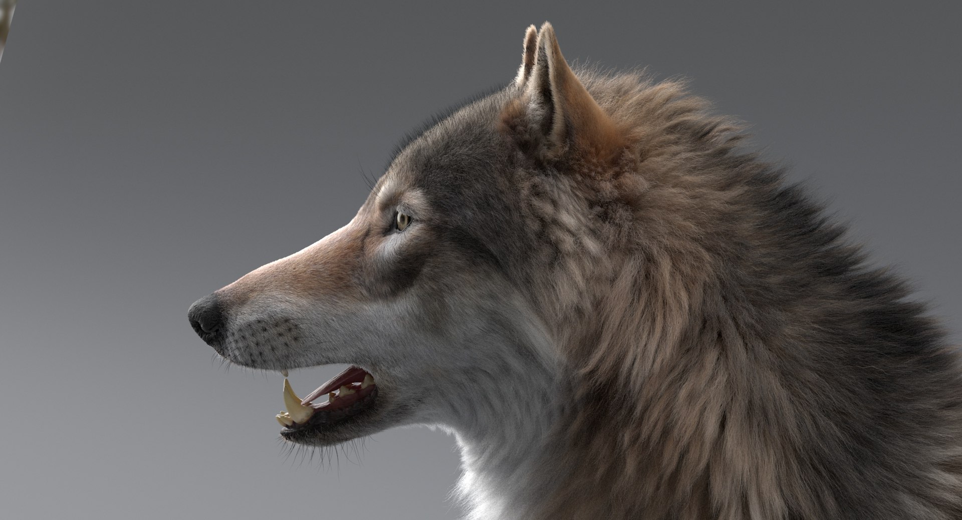 3D wolf model https://p.turbosquid.com/ts-thumb/ZC/qqoRfm/JhYGNKG5/10/jpeg/1557687026/1920x1080/fit_q87/174057ff3deba441b0c9d12573b47e0b887be4d0/10.jpg