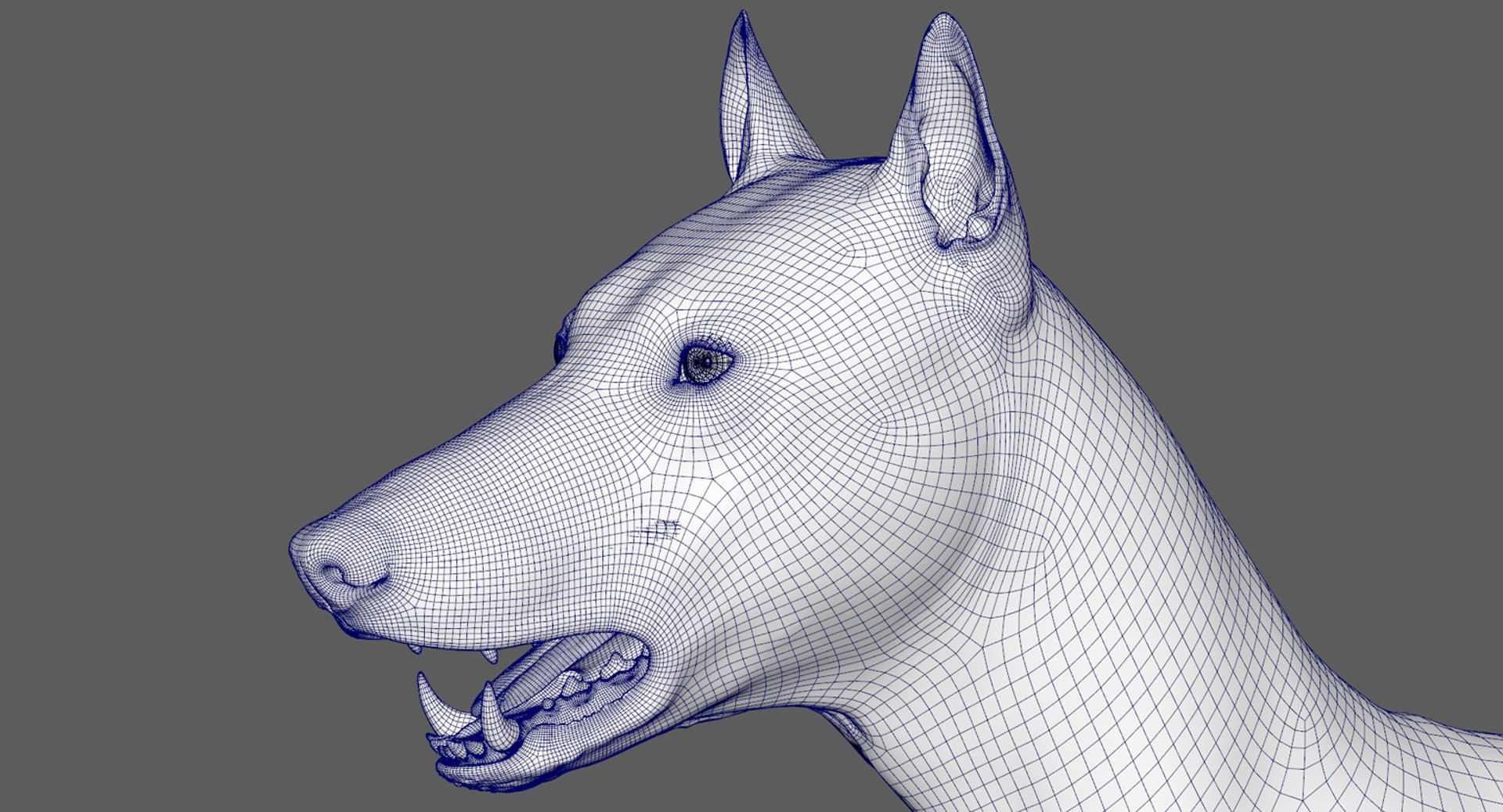 3D wolf model https://p.turbosquid.com/ts-thumb/ZC/qqoRfm/z3NBWGiQ/14/jpg/1557692056/1920x1080/fit_q87/8e912101c9a1bd01d93c35e1098d896e3fed1ee4/14.jpg