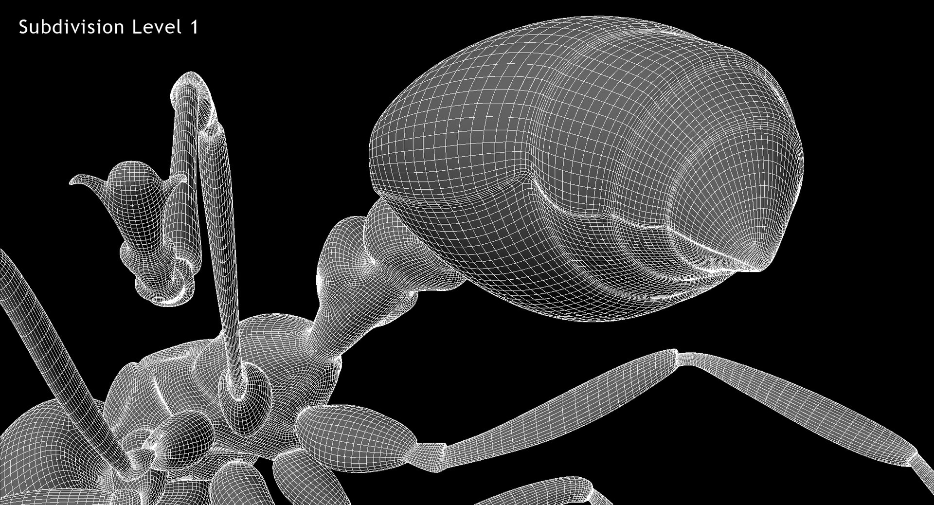 3d solenopsis invicta red ant https://p.turbosquid.com/ts-thumb/ZD/FYmtXS/cYLGfwhe/w08/jpg/1449936363/1920x1080/fit_q87/254f877ef711fcbb89fbc95f4f16c1f8b38265f7/w08.jpg