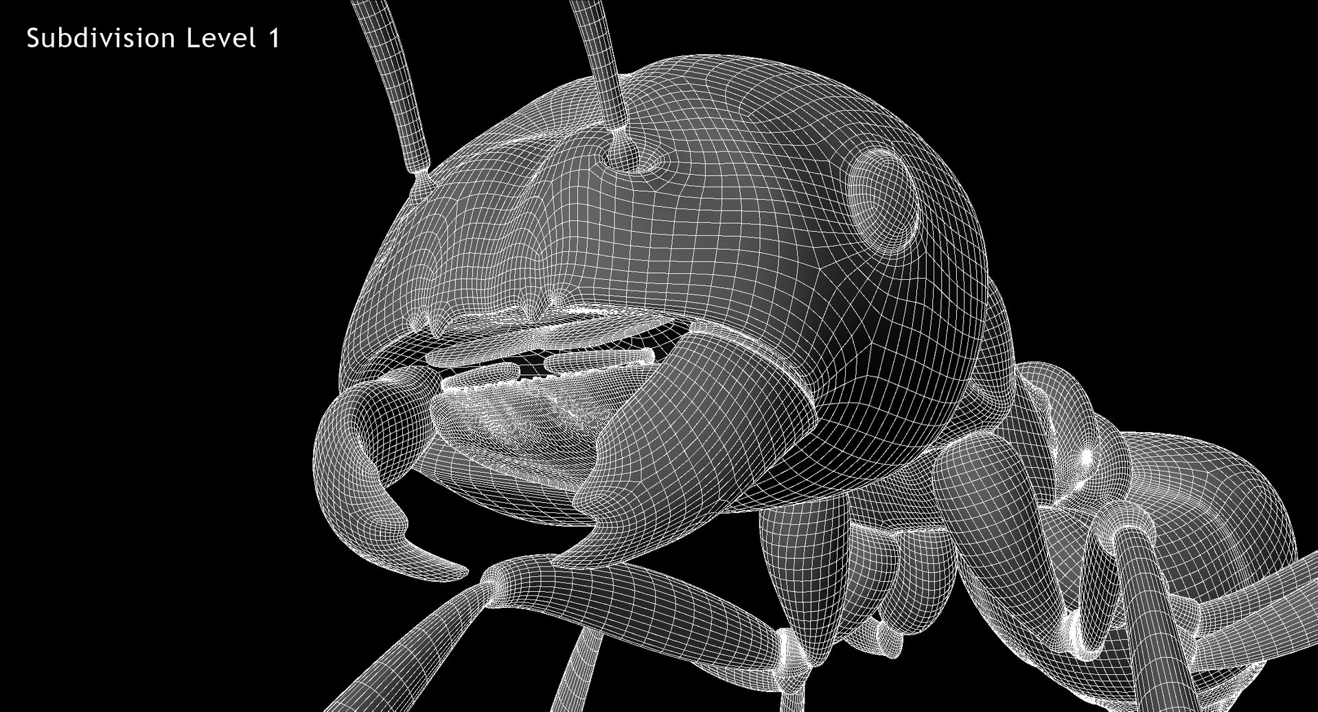 3d solenopsis invicta red ant https://p.turbosquid.com/ts-thumb/ZD/FYmtXS/cnw46DY4/w06/jpg/1449936363/1920x1080/fit_q87/d5de2c52817ec28f01b9c4928c01481124a48f73/w06.jpg