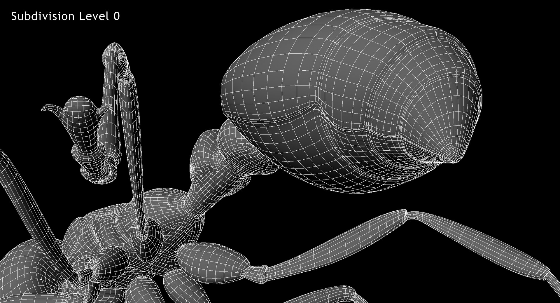 3d solenopsis invicta red ant https://p.turbosquid.com/ts-thumb/ZD/FYmtXS/oDuWKDTf/w07/jpg/1449936363/1920x1080/fit_q87/f4070245f94c1d4484ee9a522014c76987187e00/w07.jpg