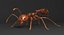 Solenopsis Invicta "Red Fire Ant"