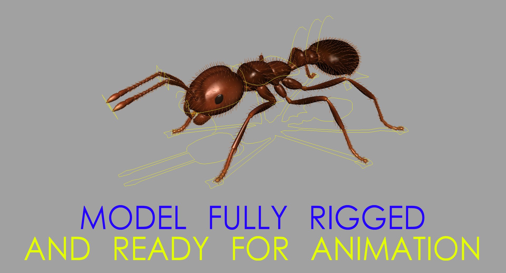 3d solenopsis invicta red ant https://p.turbosquid.com/ts-thumb/ZD/FYmtXS/wh8DbwbJ/rigged_wide/jpg/1449933210/1920x1080/fit_q87/f11eae55e612e27a9296ae5cc6a3737397cb8591/rigged_wide.jpg