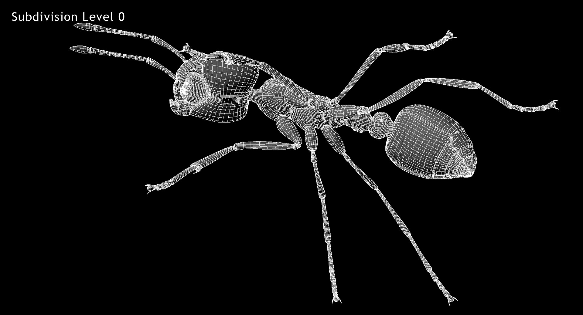 3d solenopsis invicta red ant https://p.turbosquid.com/ts-thumb/ZD/FYmtXS/wmjQOFey/w03/jpg/1449936362/1920x1080/fit_q87/069f29c5f1d40ca97f557d64021f1fa196f19390/w03.jpg