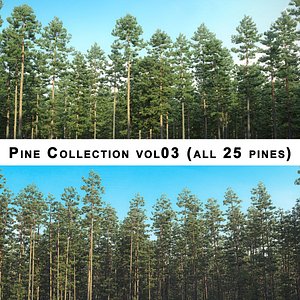 3D pine 25