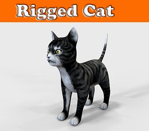 cat rigged