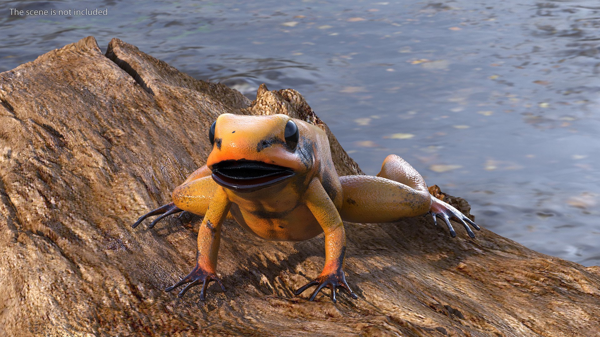 3D Poisonous Dart Frog Orange Morph Rigged - TurboSquid 2185892