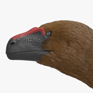 Tanycolagreus 3D model