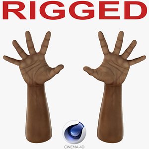 African Man Hands 3 Rigged for Cinema 4D