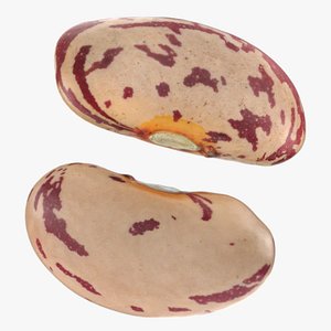 Pinto Bean Collection