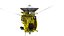 Cassini Huygens