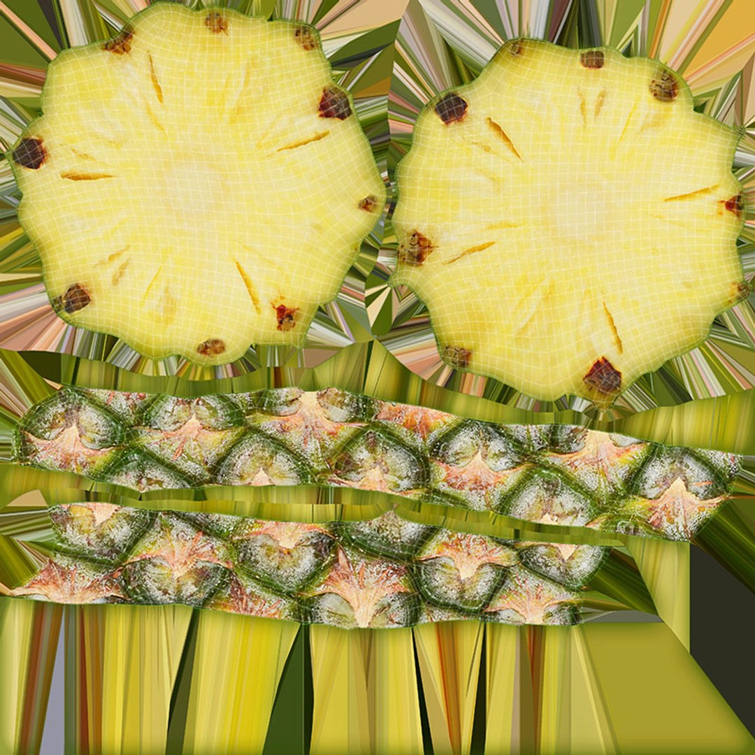 3D model Pineapple Slice Collection https://p.turbosquid.com/ts-thumb/ZE/2Rfscl/Er/pineappleslice_d0004/jpg/1690016799/1920x1080/fit_q87/f463914b5dae87d6855d4926cbdfb0e6ddbcaead/pineappleslice_d0004.jpg