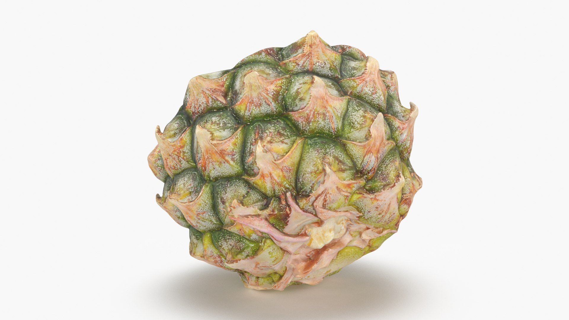 3D model Pineapple Slice Collection https://p.turbosquid.com/ts-thumb/ZE/2Rfscl/lN/pineapplehalf1_b0004/jpg/1689712638/1920x1080/fit_q87/37b013fe5db3d36ea9106b612f2cba15da68c2ad/pineapplehalf1_b0004.jpg