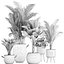 Collection of exotic palm trees in pots 422