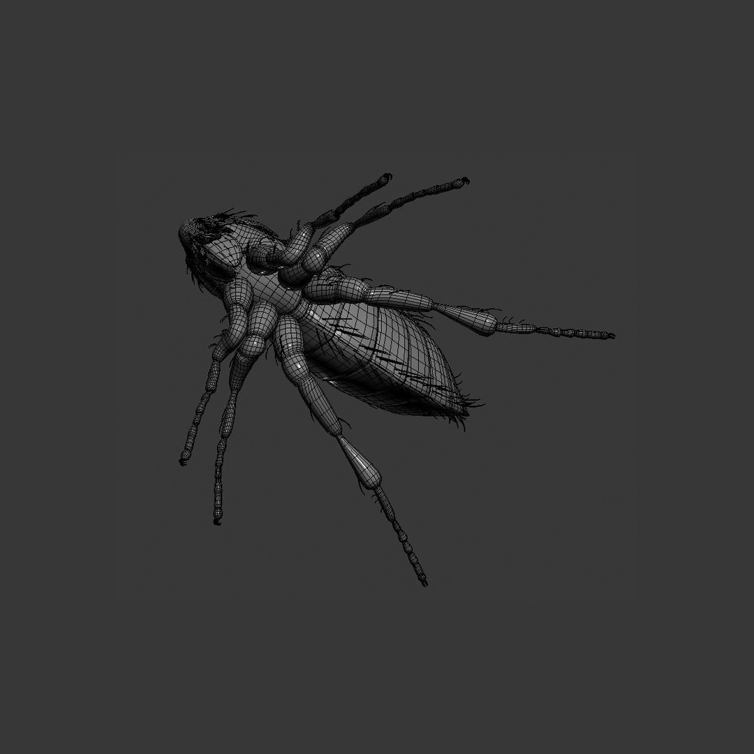 3dsmax cat flea