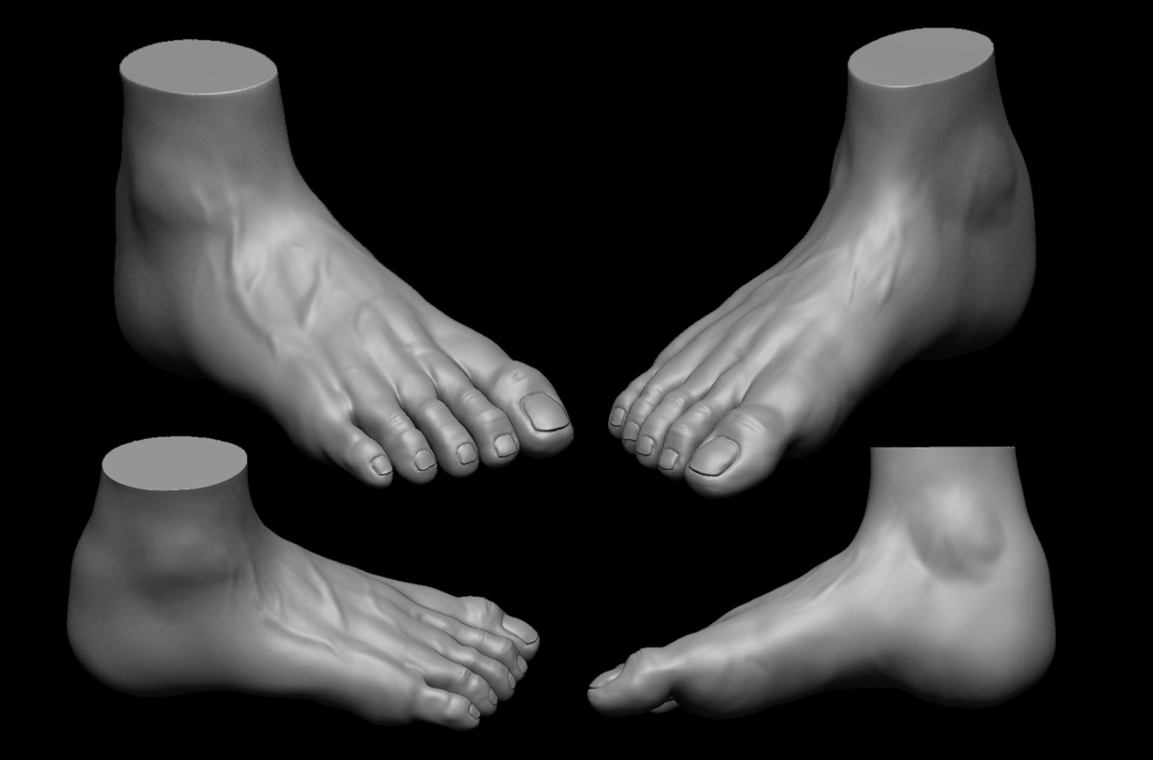 3D 4 differents feet model - TurboSquid 1419099