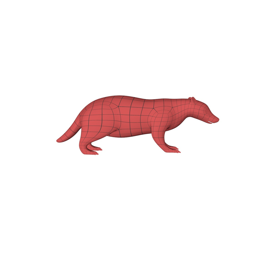 base mesh badger 3d obj
