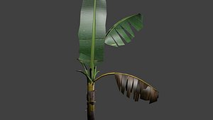 blender banana plant trees