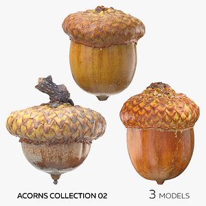 Acorns Collection 02 - 3 models 3D
