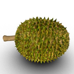 3D durian